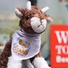 ONCE ON THIS ISLAND Announces Plush Goat Weekend Giveaway!