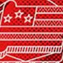 Review Roundup: Bess Wohl's Darkly Comic AMERICAN HERO Opens IAMA Season