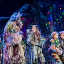 Kaartverkoop CATS in nieuwe Luxor Theater gaat hard
