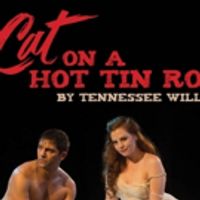 VIDEO: Watch an All New Promo Video For CAT ON A HOT TIN ROOF at Music Theater of… Video