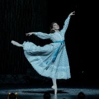 VIDEO: Watch Highlights From Houston Ballet's THE NUTCRACKER Video