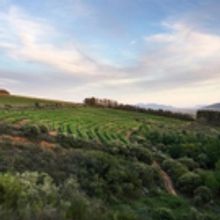 Backsberg Picnic Concert Series Set To Rock The Paarl Valley Again In February and Ma