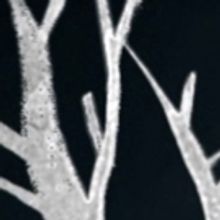 THE FIRES OF NERO: THE RISE OF THE DICTATOR Comes to Stage 773, 8/30