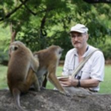 Smithsonian Channel Announces New Series A LIFE AMONG MONKEYS