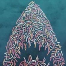 FRIDAY NIGHT FLICKS SERIES Announced At Bay Street Theater