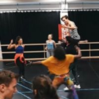 VIDEO: BAT OUT OF HELL Kommt Nach Deutschland! Video