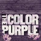Breaking: THE COLOR PURPLE Replaces UNMASKED as Season Opener at Paper Mill Playhouse