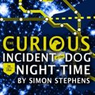 THE CURIOUS INCIDENT OF THE DOG IN THE NIGHT-TIME Hits FST's Mainstage