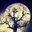 NIGHTFALL WITH EDGAR ALLAN POE Comes to Valley Performing Arts Today