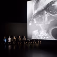 Daniel Fish Directs ACQUANETTA at Bard SummerScape