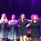 BWW Review: FRÅN BROADWAY TILL DUVEMÅLA at Skandiascenen Cirkus