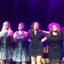 BWW Review: FRÅN BROADWAY TILL DUVEMÅLA at Skandiascenen Cirkus