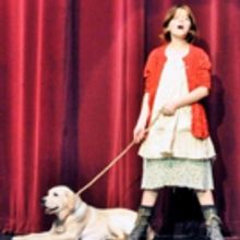 BWW Review: ANNIE at CANTON VILLAGE THEATRE Thrills Patrons