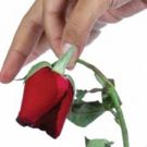World Premiere Of THE END OF SEX: TRICKY TERRITORY Creates Exciting Theatre