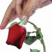 World Premiere Of THE END OF SEX: TRICKY TERRITORY Creates Exciting Theatre