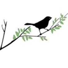 Tickets On Sale Saturday for All-Star TO KILL A MOCKINGBIRD on Broadway; Neal Huff an