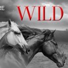 New Jersey Rep Presents WILD HORSES