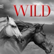 New Jersey Rep Presents WILD HORSES