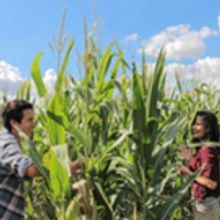 Visit Temecula Valley Announces Autumnfest in Temecula Valley Southern...