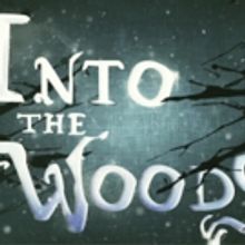 INTO THE WOODS Will Premiere in Oslo June 2018
