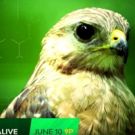 EXTINCT OR ALIVE Premieres on Animal Planet on 6/10