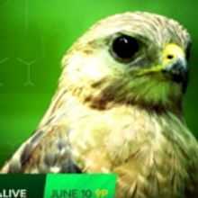 EXTINCT OR ALIVE Premieres on Animal Planet on 6/10