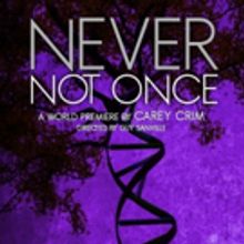 NEVER NOT ONCE Makes World Premiere at Purple Rose Theatre Company