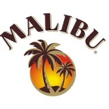 Let the Games Begin: Malibu', Nick Jonas And Over 30 Global Influencers Unleash Their