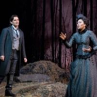 BWW Review: At the Met, LAMMERMOOR is Filled with Crazies--and Not Just LUCIA Photo