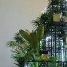 New ICA At VCU Will Present New Works By Rashid Johnson, Jonathas De Andrade And More