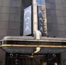 TV: Watch the Stars Walk the Opening Night Red Carpet for KING KONG!