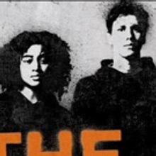 BWW Review: THE DARKEST MINDS: Movie Edition by Alexandra Bracken