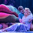 BWW Review: LITTLE SHOP OF HORRORS at Drury Lane Theatre