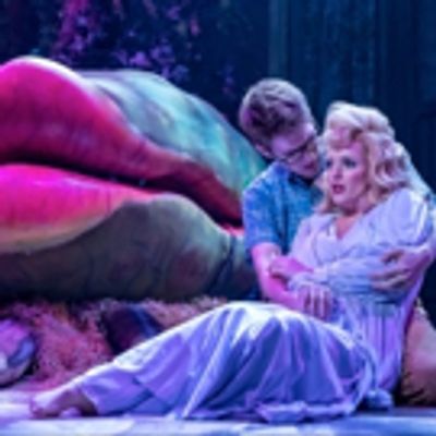 BWW Review: LITTLE SHOP OF HORRORS at Drury Lane Theatre