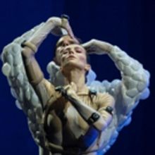 SLEEPING BEAUTY DREAMS Announces 2019 U.S. Tour Dates