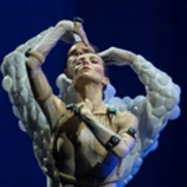 SLEEPING BEAUTY DREAMS Announces 2019 U.S. Tour Dates Photo