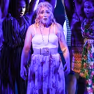 Photo Flash: First Look At MAMMA MIA! At Arizona Broadway Theatre!