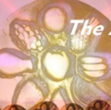 The 16th Annual FRESH FRUIT AWARDS Of DISTINCTION Announced