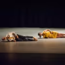 Bryn Cohn + Artists to Present THE ART OF LOSS at the 14th Street Y