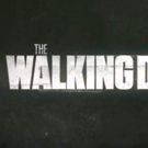 Andrew Lincoln Pens Farewell Letter to 'The Walking Dead'