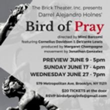 Brick Theater Inc. Presents BIRD OF PRAY