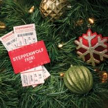 Give the Gift of a Steppenwolf Show for the Holidays