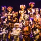 Limited Seats Available for CATS at Walton Arts Center