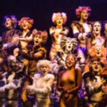 Limited Seats Available for CATS at Walton Arts Center