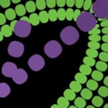 11th Hour Theatre Company Hosts PHILLY ROCKS Horsham