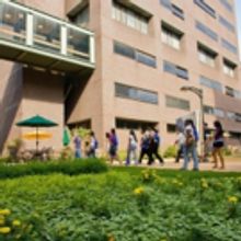 Director of Performing Arts at LIU Brooklyn Elin Eggertsdottir Talks New BFA Program 