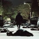 FX Orders New Drama Series, Y