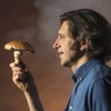 Adam Strauss's THE MUSHROOM CURE Makes Off-Broadway Debut Tonight