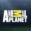 Animal Planet to Present Inspiring Stories of Animals in New Series DODO HEROES