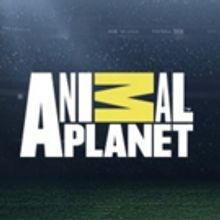 Animal Planet to Present Inspiring Stories of Animals in New Series DODO HEROES